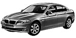 BMW F10 C102B Fault Code